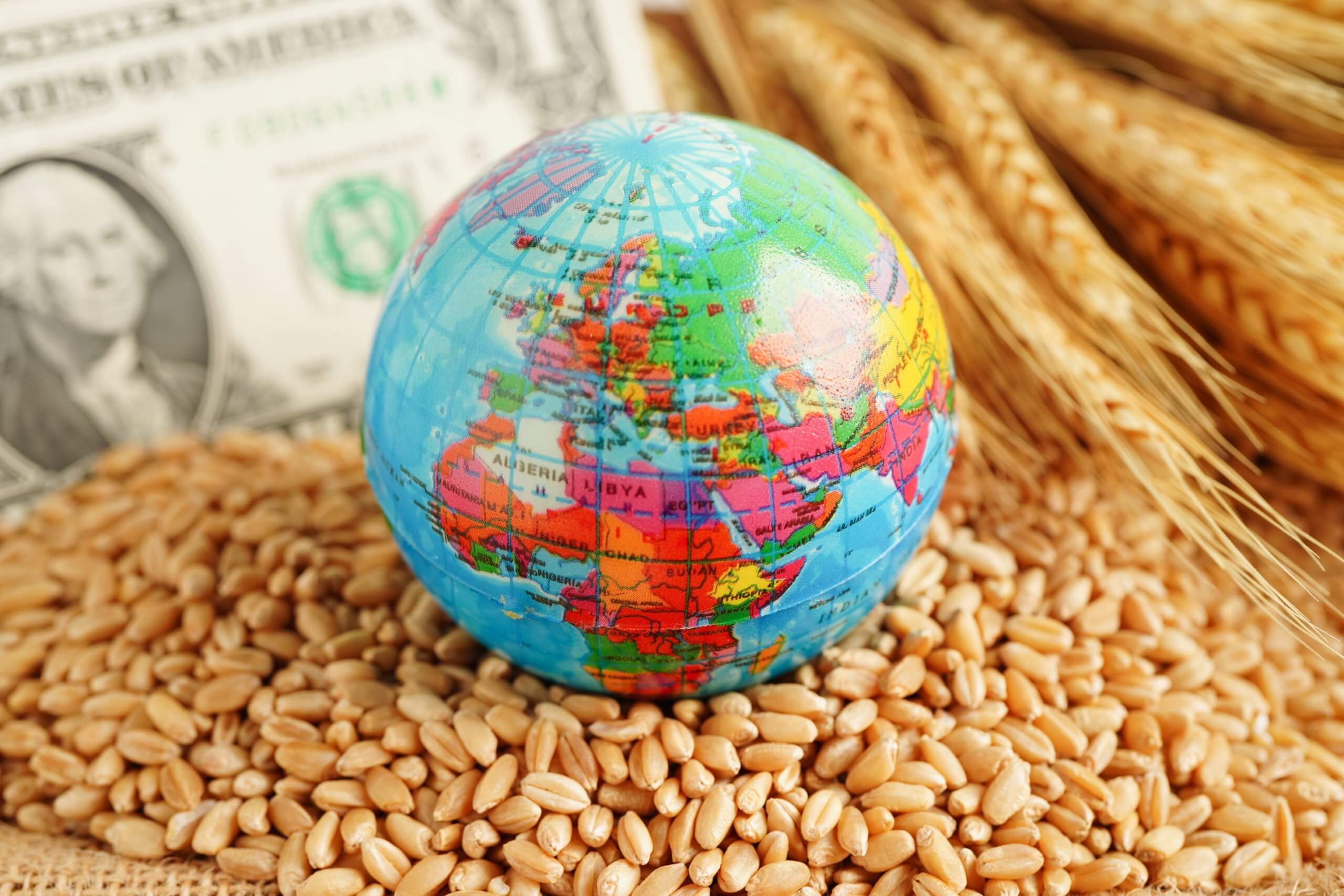 O agronegócio e o mercado internacional 